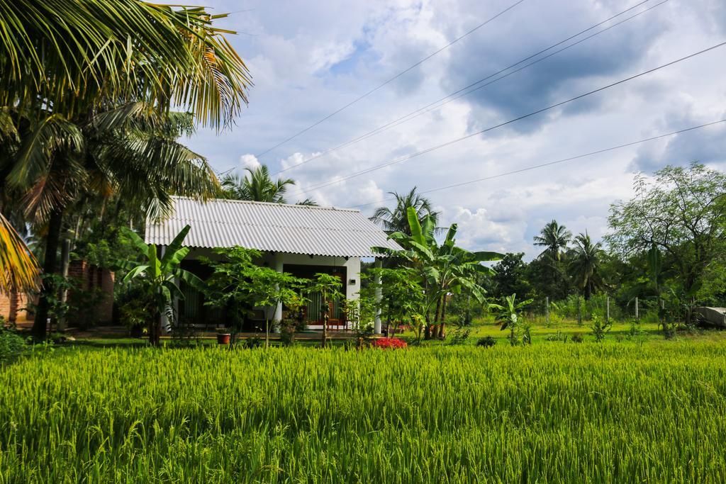 Hideaway Homestay Habarana Extérieur photo